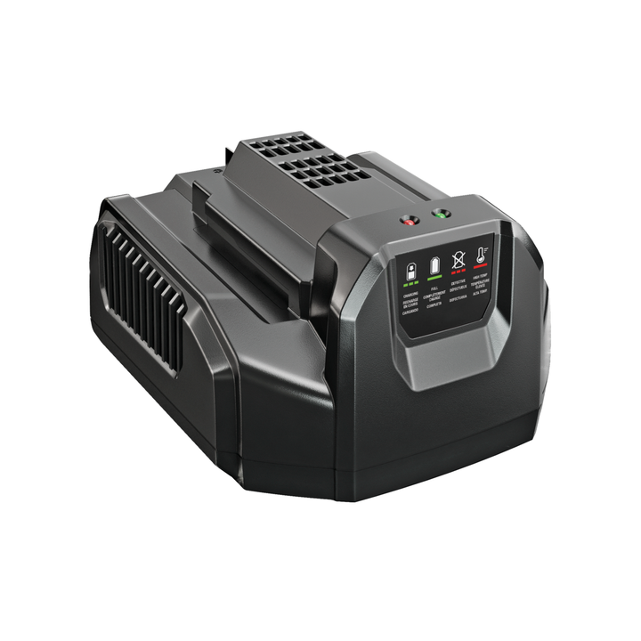 EGO Power CH2100E Standard Battery Charger