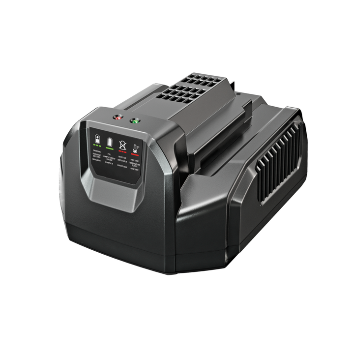 PROMO EGO Power HT2410E Tagliasiepi a Batteria da 61cm + 2 Batterie 2,5 Ah + Caricatore Standard + OMAGGIO Lubrificante lame